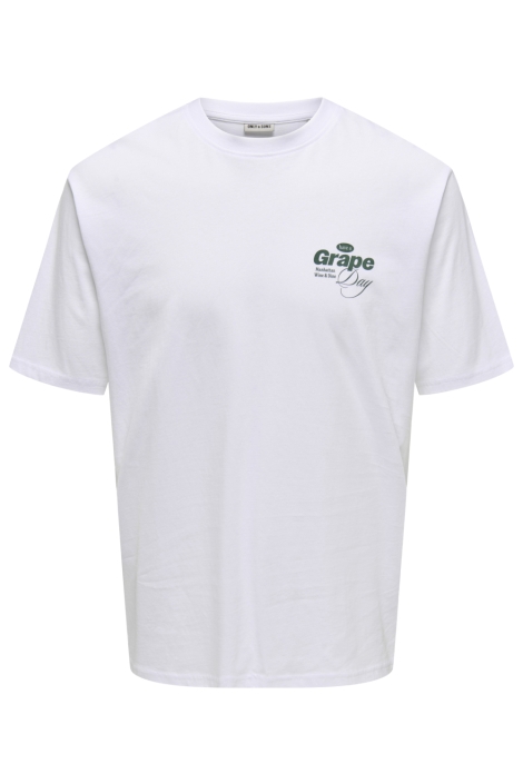 Only & Sons onsalfresco rlx ss tee